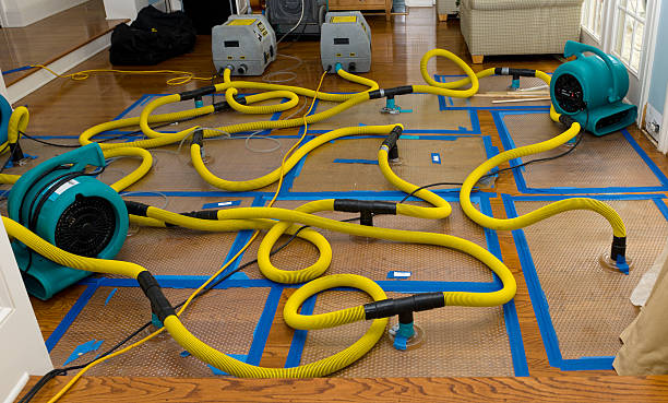Professional Water Damage Restoration technician working in Payson, AZ